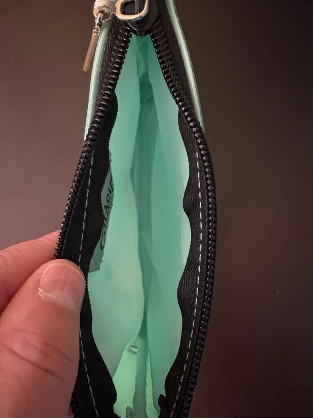 Catseye Mint Green, French BullDog Zip Cosmetic Bag